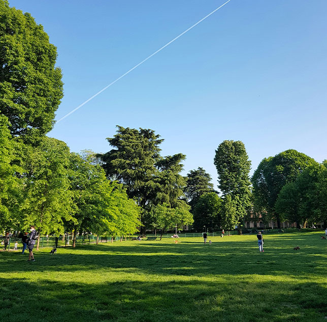 Tom Bennett Park